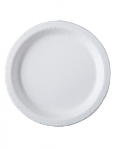 20 assiettes en carton blanc 26 cm compostables