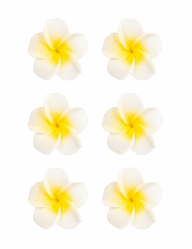 6 fleurs de monoï artificielles blanches 5 cm en mousse adhésives