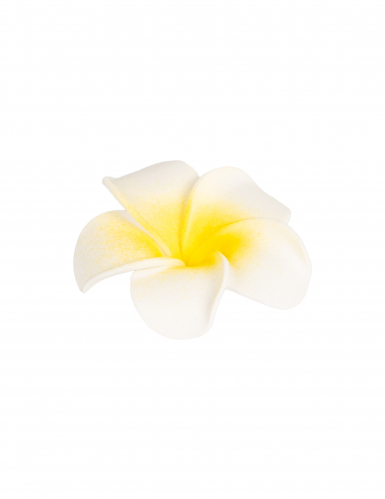 6 fleurs de monoï artificielles blanches 5 cm en mousse adhésives