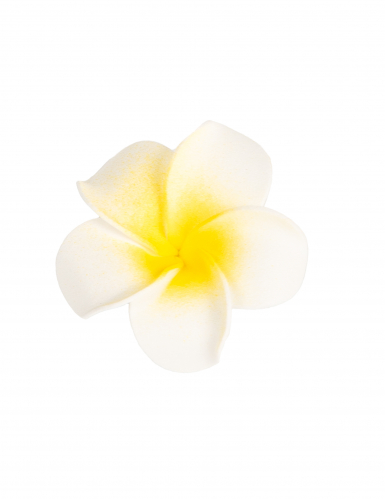 6 fleurs de monoï artificielles blanches 5 cm en mousse adhésives