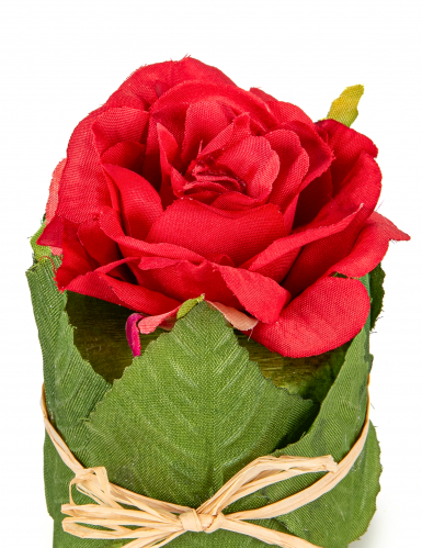 Rose rouge dans un pot en feuillage 8 x 6 cm pour mariage