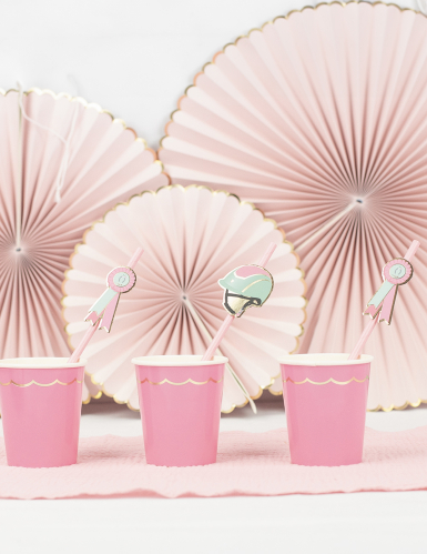 10 pailles en carton cheval roses 20 cm équitation