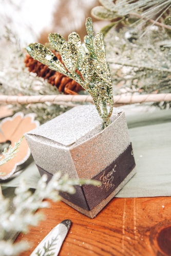 6 branches sur tige paillettes menthe 16 cm pour noël