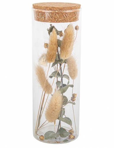 Tube en verre avec plumeaux et eucalyptus 18,5 cm et bouchon liège