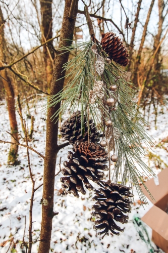 Descente pommes de pin paillettes champagne 45 cm sapin doré
