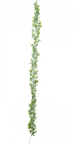 Guirlande feuilles de houx 175 cm aspect givré