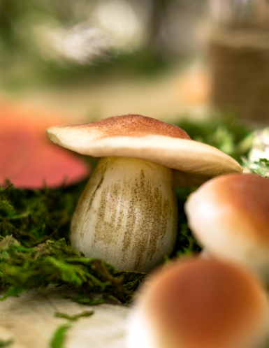 7 champignons en mousse aspect naturel