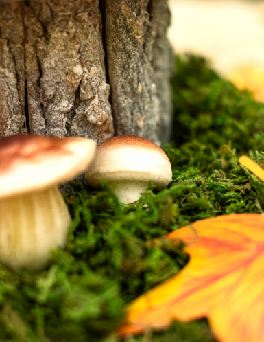 7 champignons en mousse aspect naturel