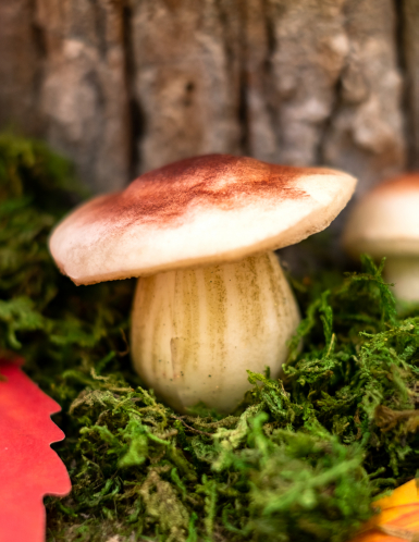 7 champignons en mousse aspect naturel
