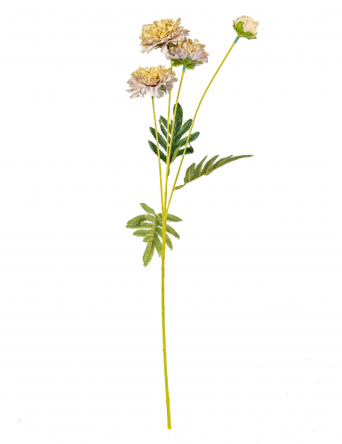 Fleurs de zinnia artificielles beige sur tige 61 cm pour bouquet
