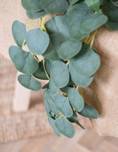 Guirlande feuilles d'eucalyptus 2 m décoration végétale