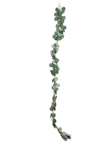 Guirlande feuilles d'eucalyptus 2 m décoration végétale