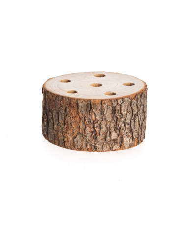 Rondin de bois support pour fleurs séchées 10 x 4 cm à 6 trous