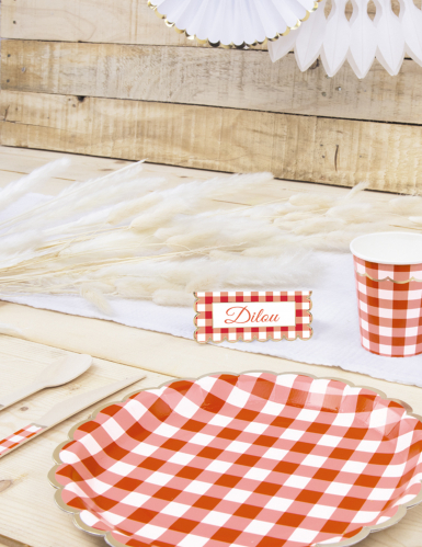 8 assiettes festonnées en carton vichy rouge et blanc 23 cm