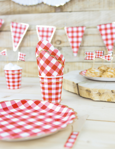 8 assiettes festonnées en carton vichy rouge et blanc 23 cm