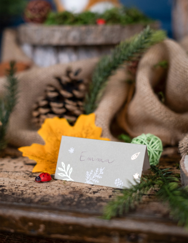 8 marque-places Noël botanique vert de gris et feuillage blanc