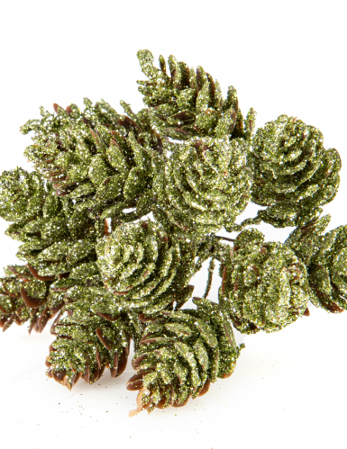 Branchage 12 pommes de pin vert givré 12,5cm décoration de Noël