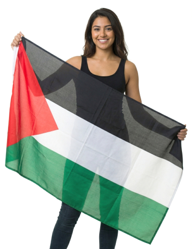 Drapeau Palestine en tissu 150 x 90 cm