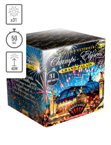 Feu d'artifice Champs-Élysées® Grand Palais®, 31 tirs, 50 secondes