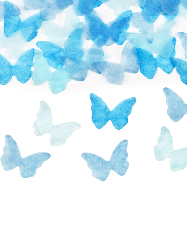 Canon à confettis gender reveal papillons bleus 20 cm