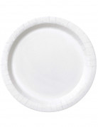 16 assiettes en carton blanches 23 cm jetables rondes