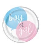 8 petites assiettes en carton girl or boy 21 cm gender reveal