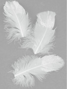 20 plumes blanches pailletées 9 cm scintillantes