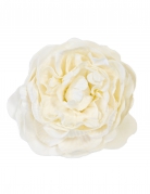 Décoration de table rose ancienne ivoire 12 cm fleur artificielle