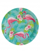8 assiettes en carton flamingo paradise 23 cm décor tropical