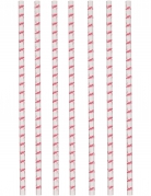 12 pailles en carton flamingo paradise 19,5 cm flamants roses