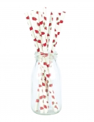10 pailles en carton pastèques fraîches 20 cm pour cocktails