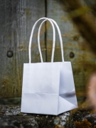 6 petits sacs en carton blancs 9 x 10 cm avec anses torsadées