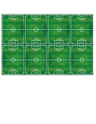 Nappe en plastique football party 120 x 180 cm terrain de foot