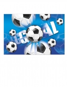 Nappe en plastique football goal 120 x 180 cm ballons de foot