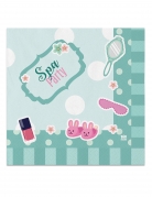 20 serviettes en papier spa party menthe 33 x 33 cm