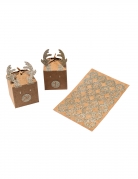 Set calendrier de l'avent renne argenté stickers et ficelle 5 x 7,5 cm en kraft