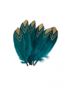 6 plumes ethniques bleu paon et or 18-20 cm pailletées