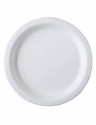 20 assiettes en carton blanc 26 cm compostables