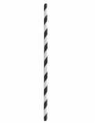 100 pailles en papier rayées noires et blanches 20 cm pour boissons