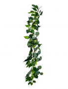 Guirlande pivoines laurier et eucalyptus blanches 1,40 m pour mariage
