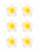 6 fleurs de monoï artificielles blanches 5 cm en mousse adhésives