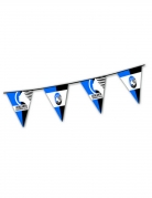 Guirlande fanion en plastique Atalanta™ bleue