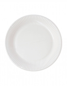 10 assiettes en carton home compostable blanches 23 cm pour fête