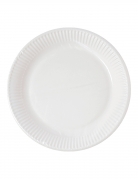 10 petites assiettes en carton home compostable blanches 18 cm éco-responsables pour buffet