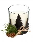 Bougie sapin et pomme de pin 330 g