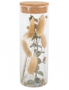 Tube en verre avec plumeaux et eucalyptus 18,5 cm et bouchon liège