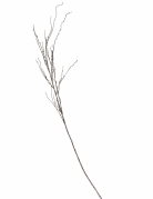 Branche féerique paillettes et sequins dorés 125 cm effet givré