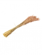 Bouquet d'avoine séché rose 100 g 73 cm décoration bohème