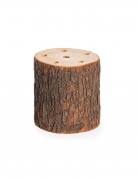 Rondin de bois support pour fleurs séchées 10 x 10 cm à 6 trous