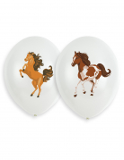 6 ballons latex joli cheval 27 cm motifs chevaux